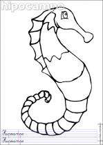 coloriage-hippocampe-1